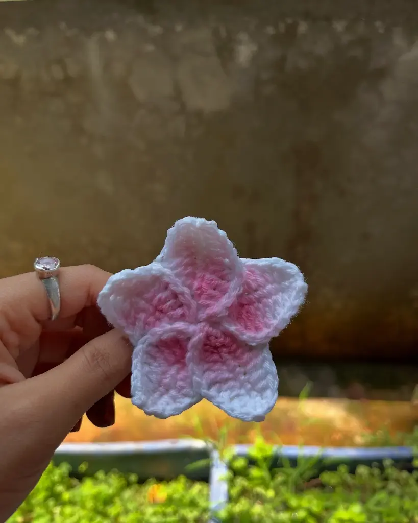 Blush Bloom Clip.webp