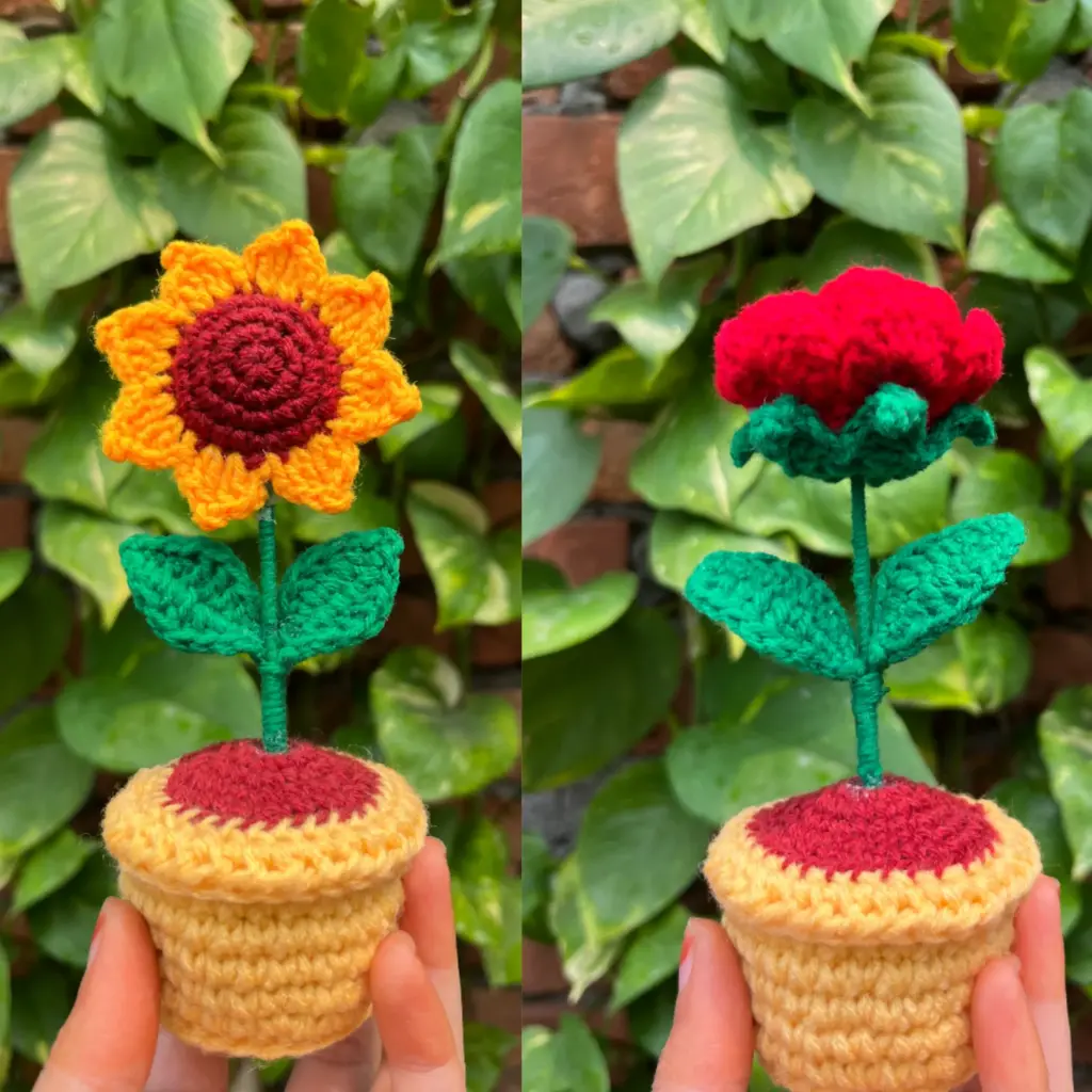 suny smile & Rosy Bloom Combo pot
