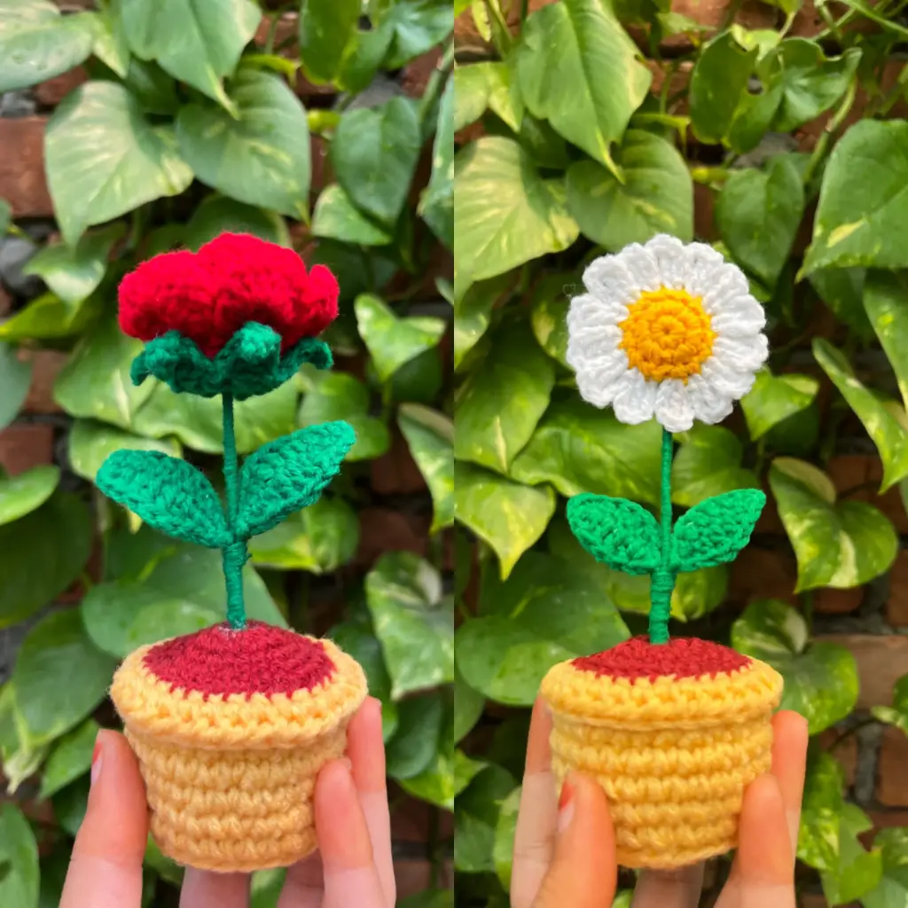 Rosy Bloom Pot & Daisy Delight combo
