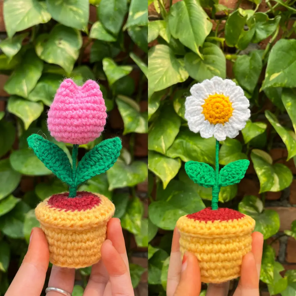 Daisy Delight & Tulip Treasure Combo